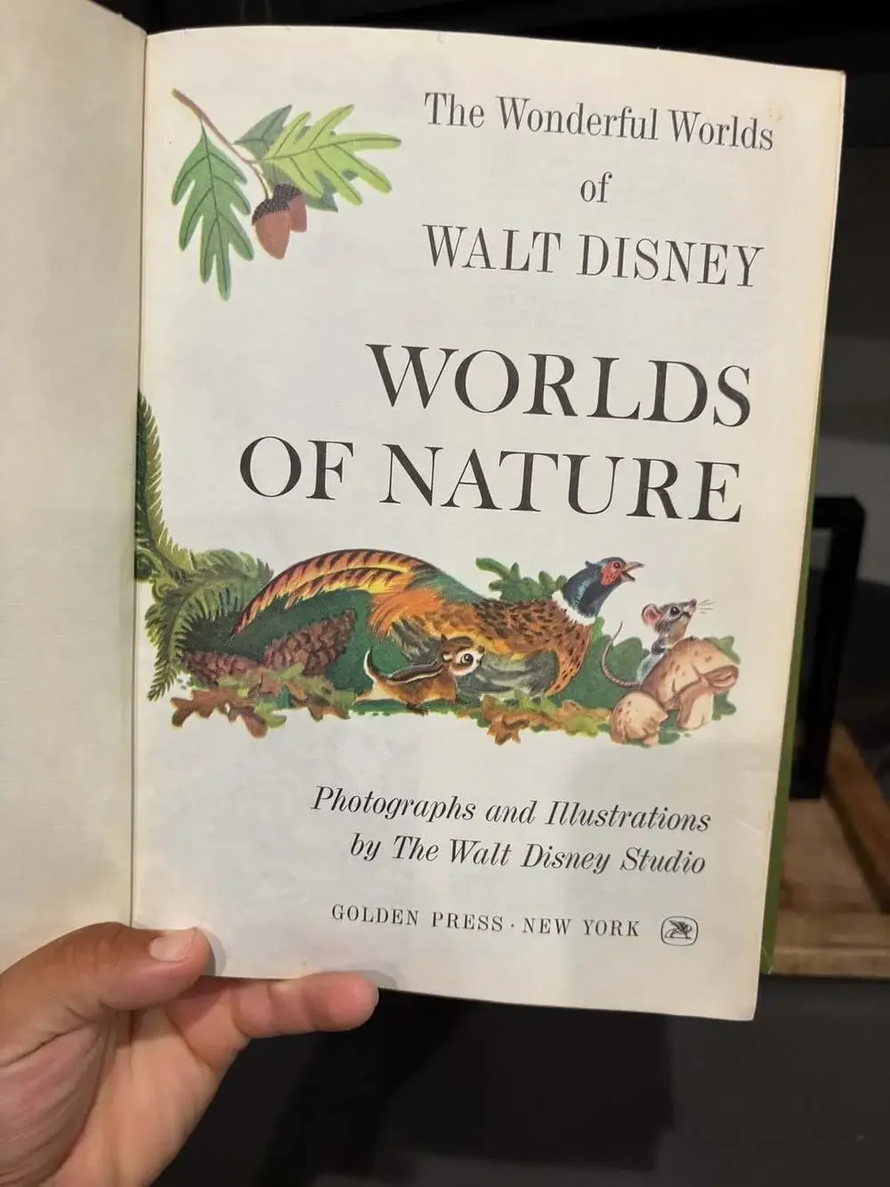 Vintage 1965 The Wonderful Worlds of Walt Disney Worlds of Nature Hardcover Book